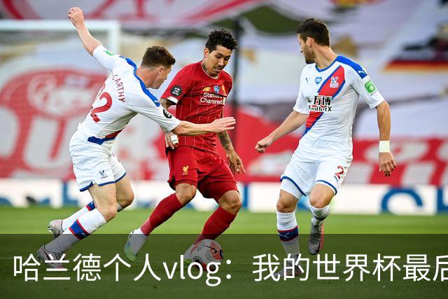 哈兰德个人vlog：我的世界杯最后24小时