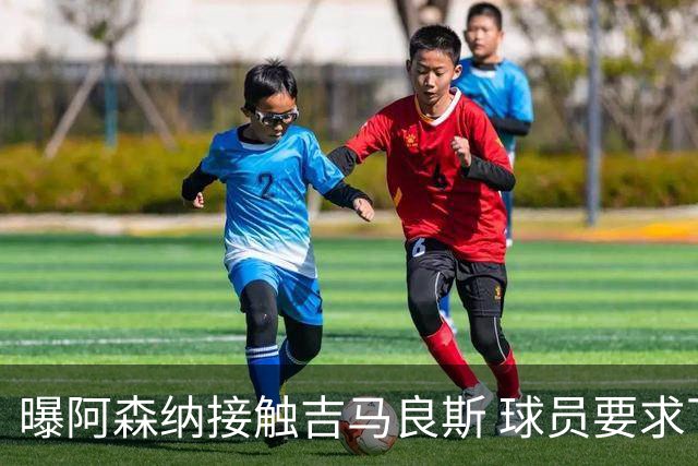 曝阿森纳接触吉马良斯 球员要求下周前定未来 纽卡咬死1亿镑